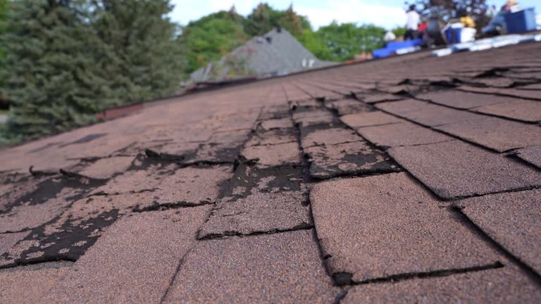 Best Rubber Roofing (EPDM, TPO)  in Eleele, HI